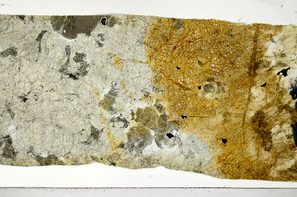Plane Polarized, N5844