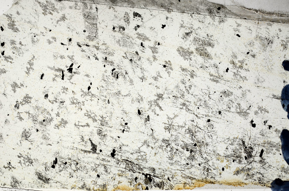 Plane Polarized, N5862