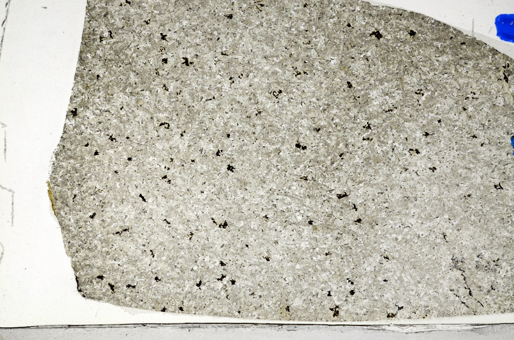 Plane Polarized, N5866