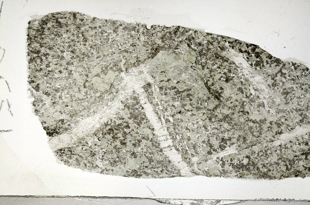 Plane Polarized, N5867