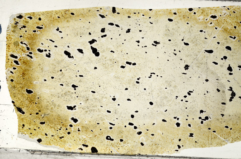 Plane Polarized, N5881