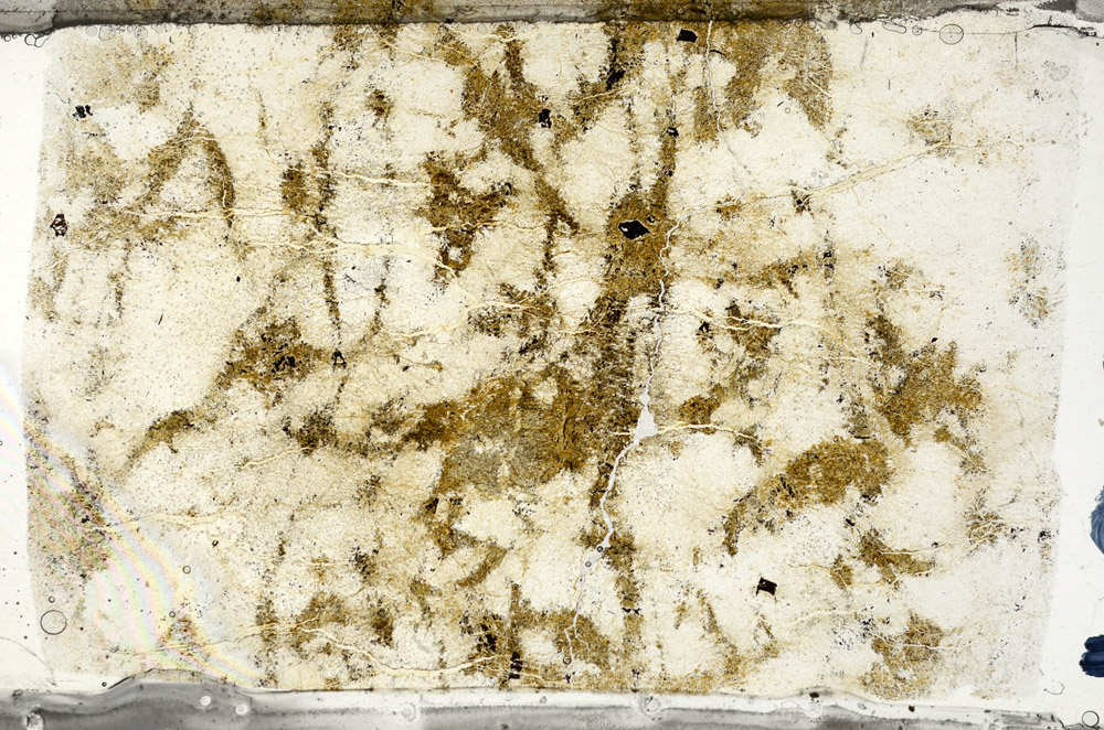 Plane Polarized, N5886