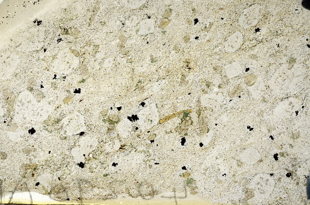 Plane Polarized, N5898