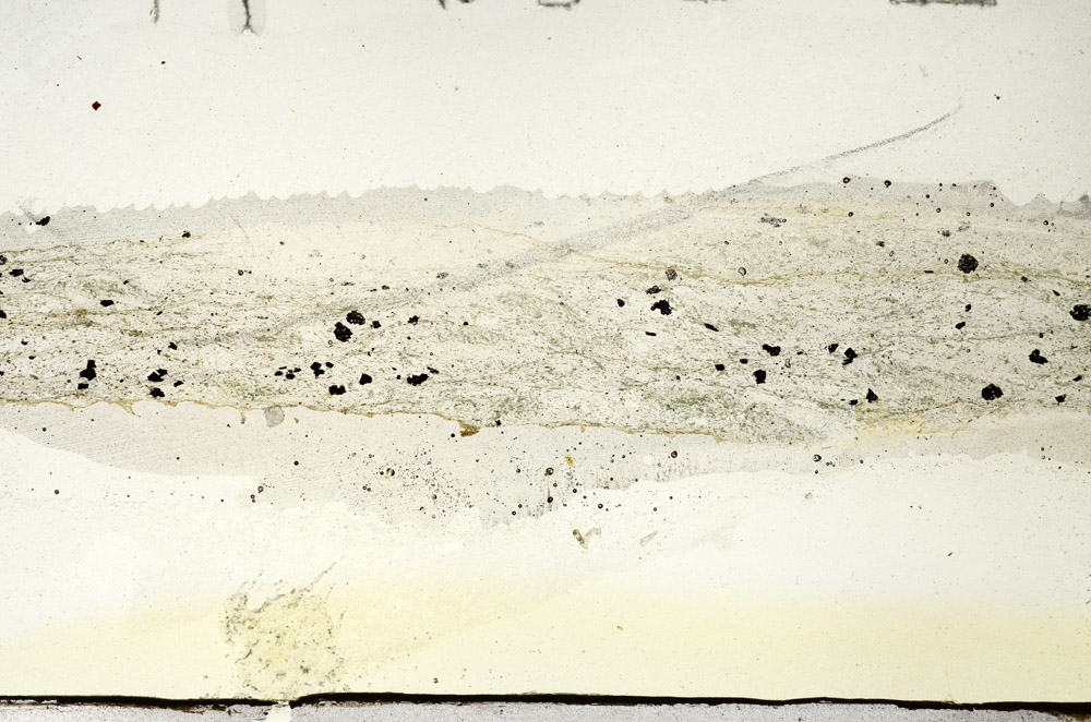 Plane Polarized, N5913