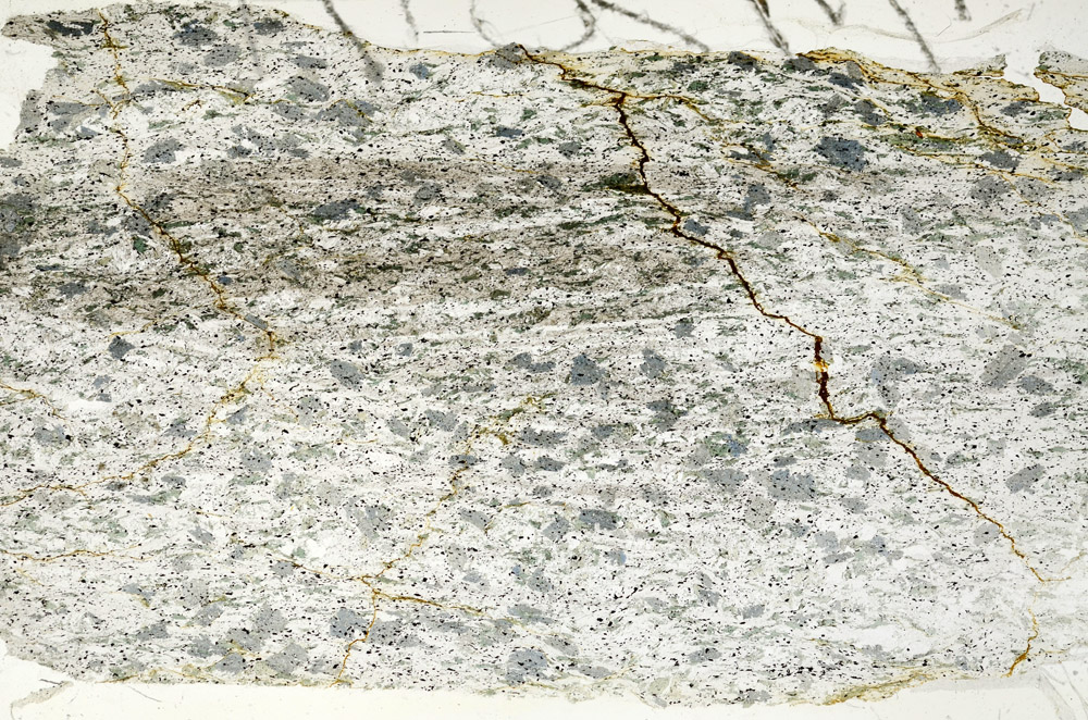 Plane Polarized, N5921
