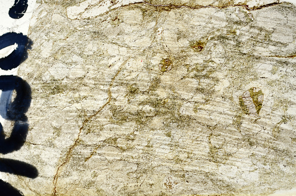Plane Polarized, N5923