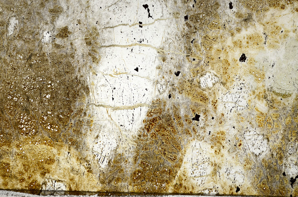 Plane Polarized, N5951