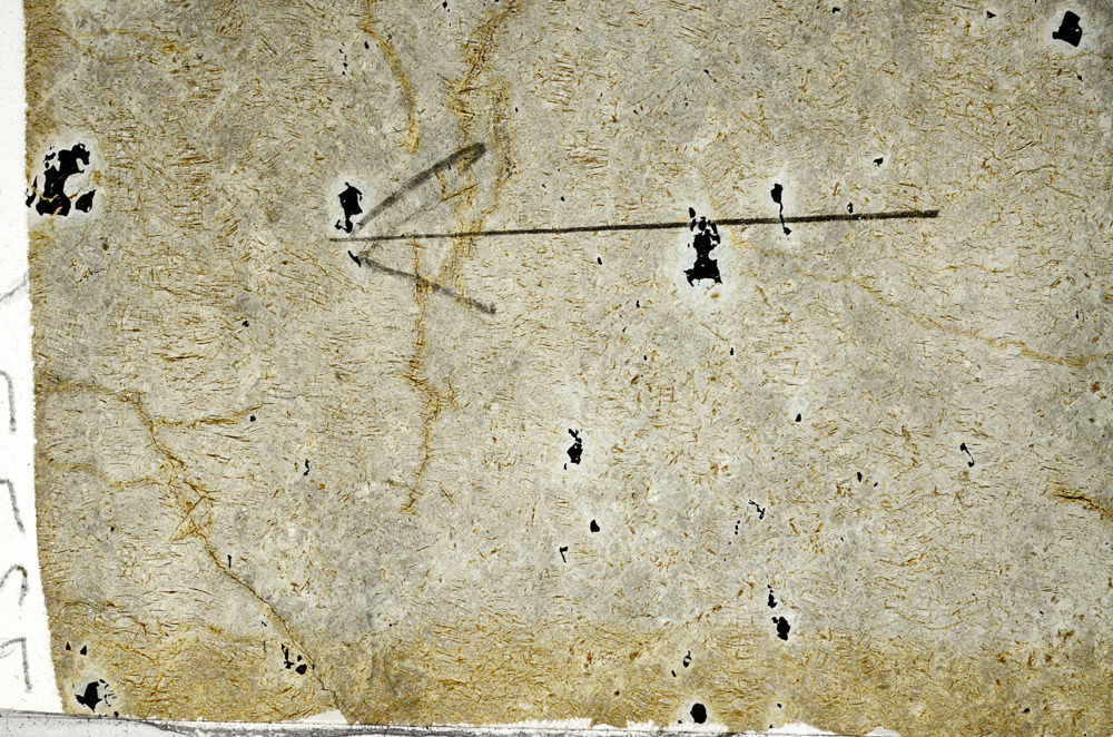Plane Polarized, N5954