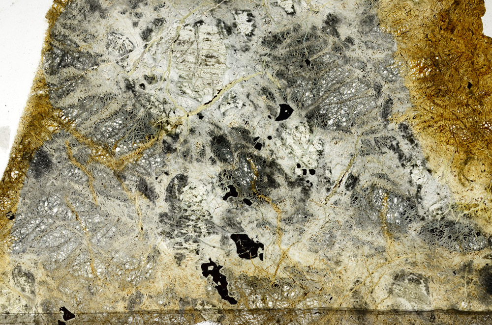 Plane Polarized, N6006