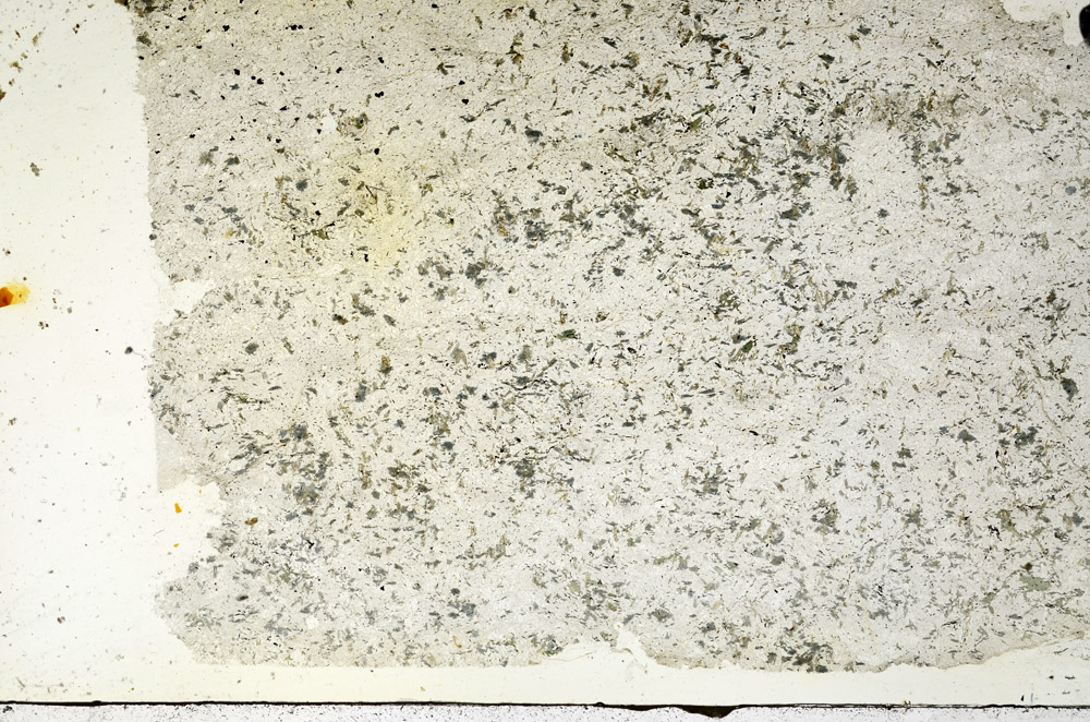 Plane Polarized, N6041