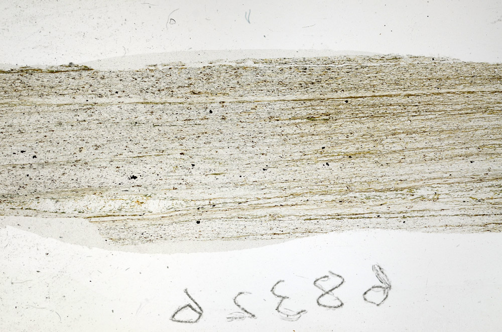 Plane Polarized, N6059