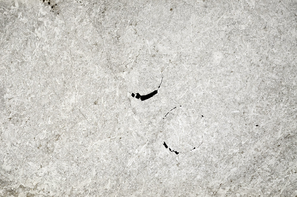 Plane Polarized, N6142