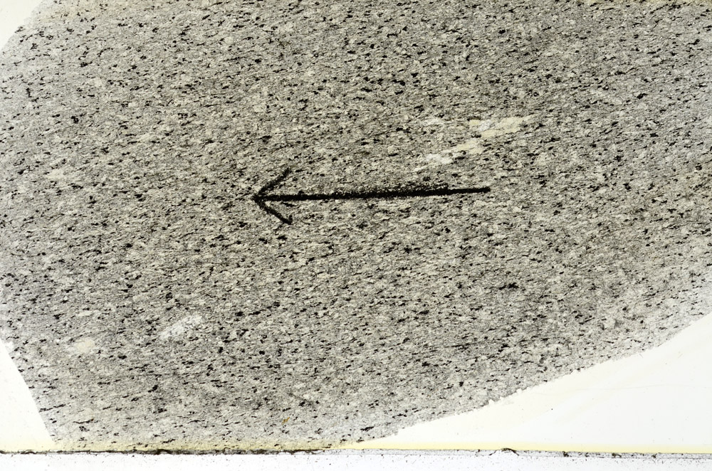 Plane Polarized, N6278/A