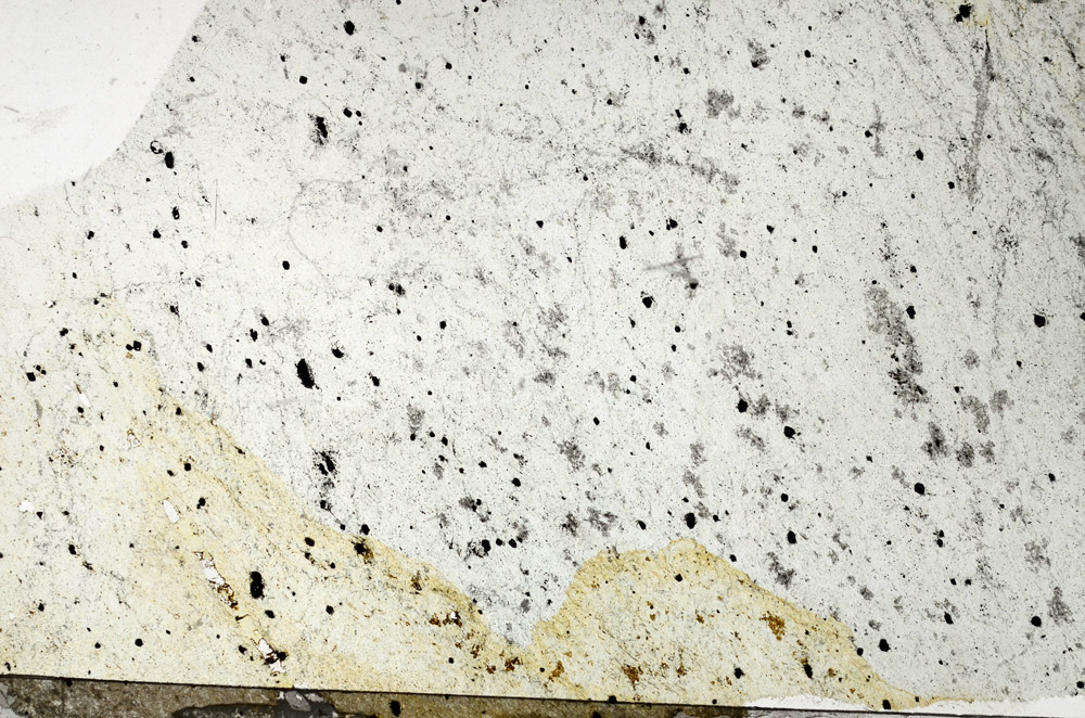 Plane Polarized, N6298