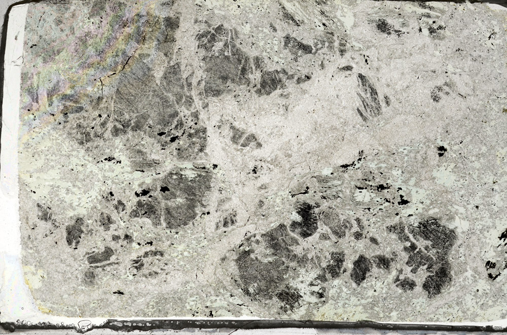 Plane Polarized, N6311/A