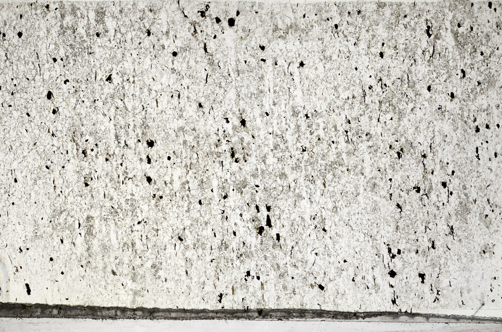 Plane Polarized, N6353