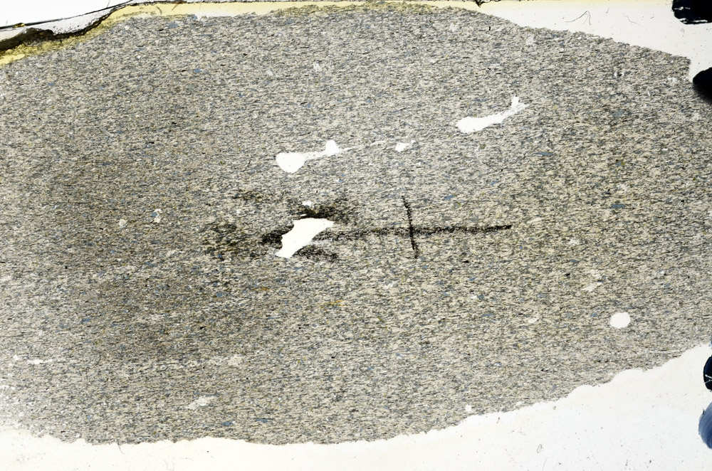 Plane Polarized, N6358