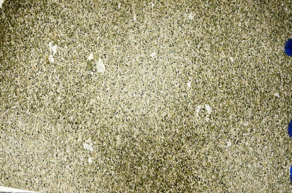 Plane Polarized, N6392