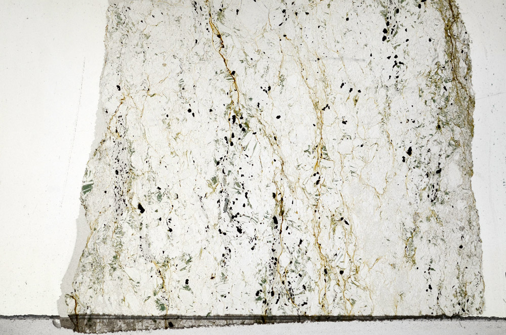 Plane Polarized, N6481