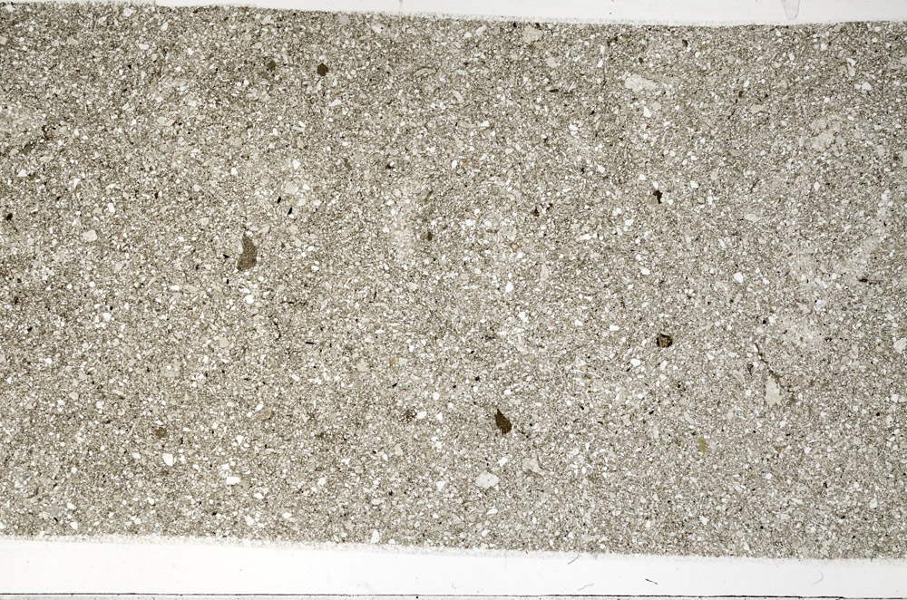 Plane Polarized, N6506