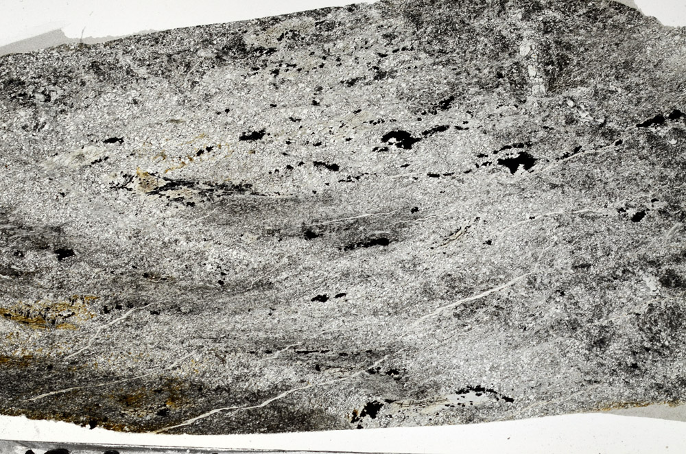 Plane Polarized, N6541