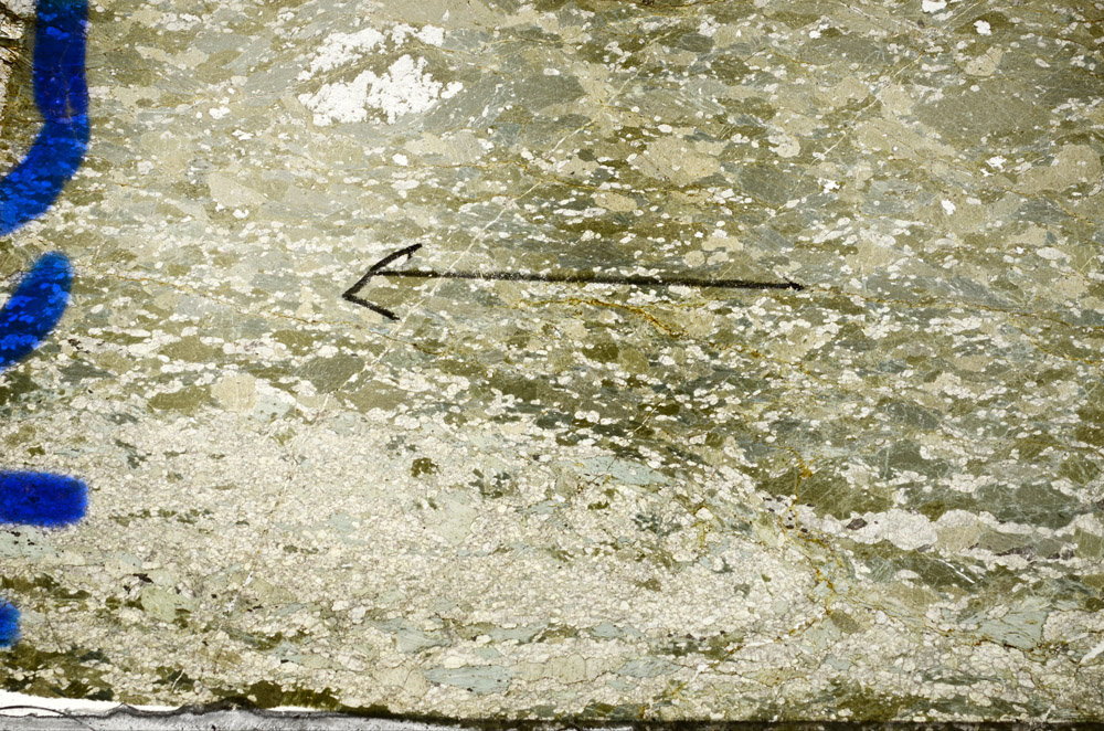 Plane Polarized, N6557