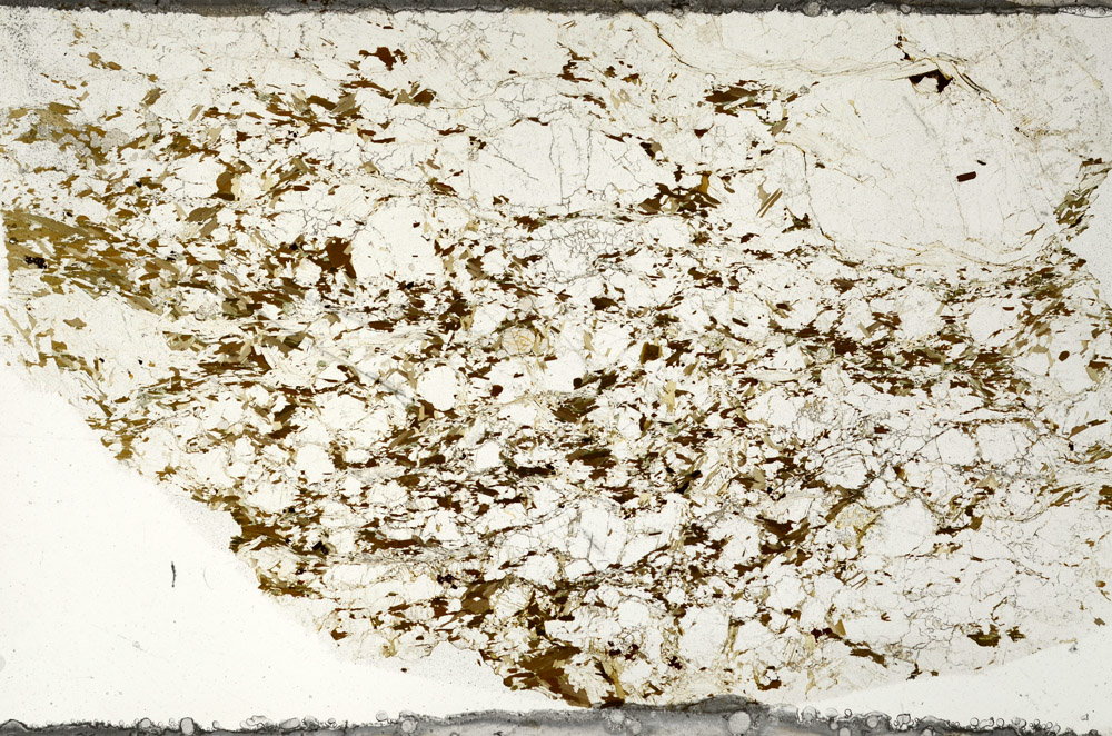 Plane Polarized, N6607