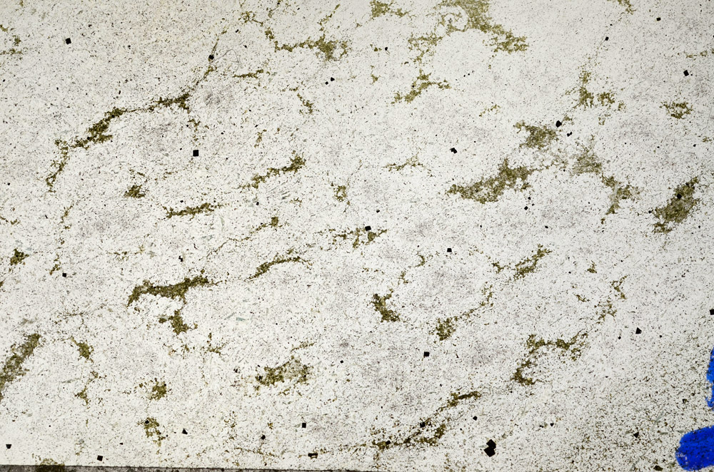Plane Polarized, N6656