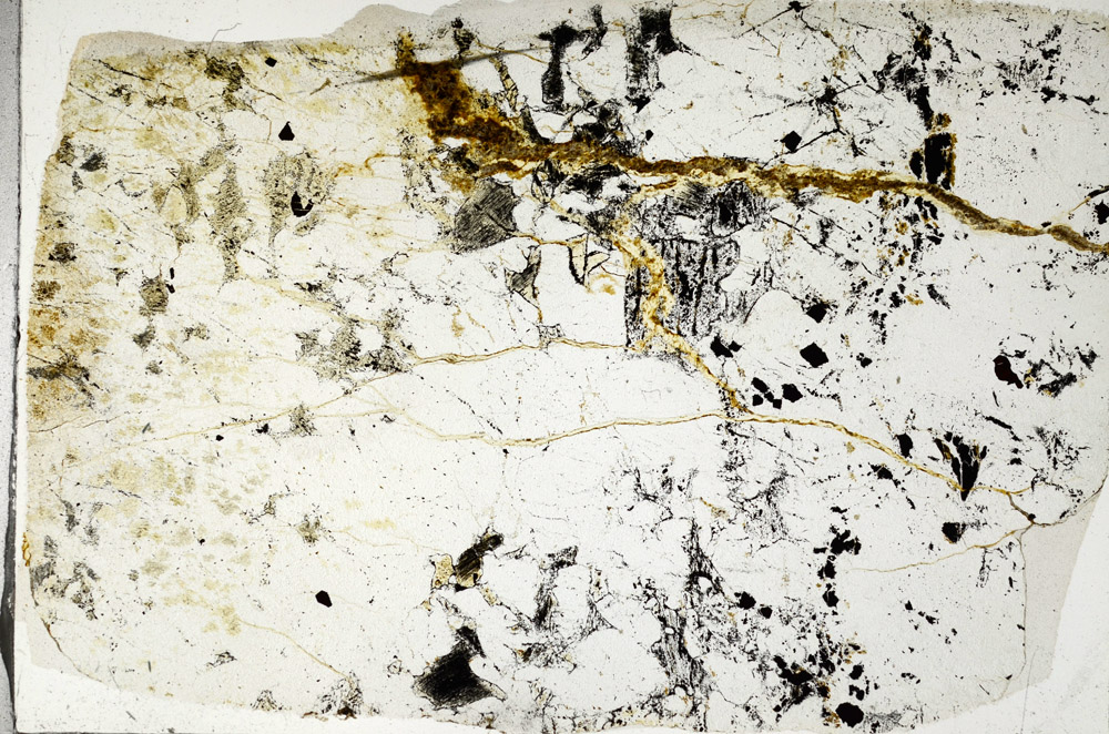 Plane Polarized, N6664