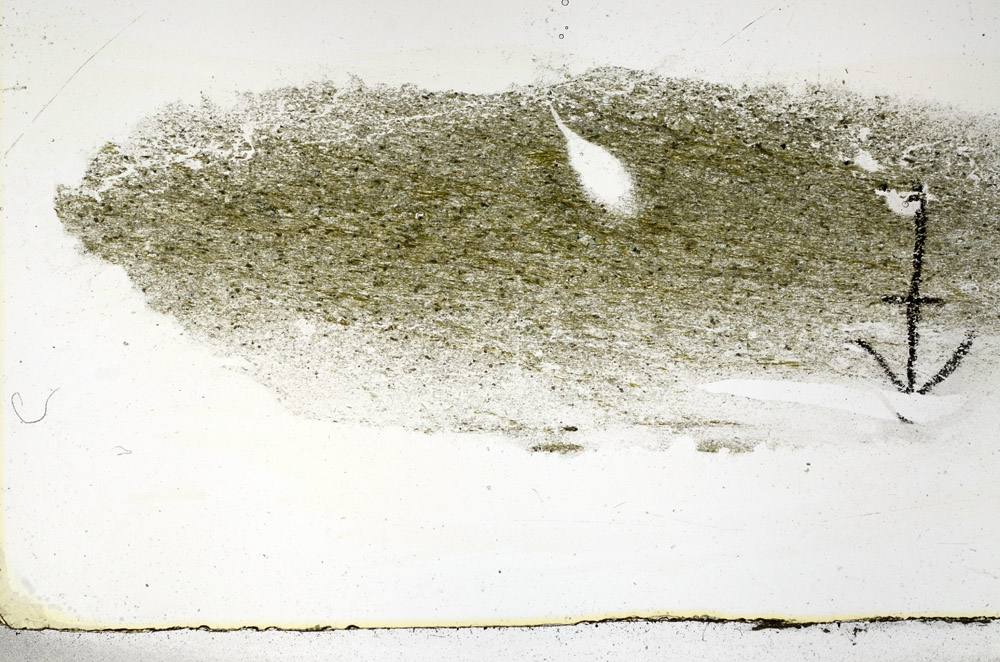 Plane Polarized, N6677