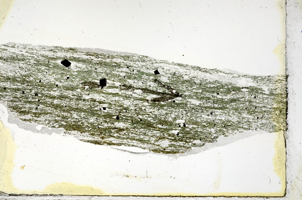 Plane Polarized, N6700