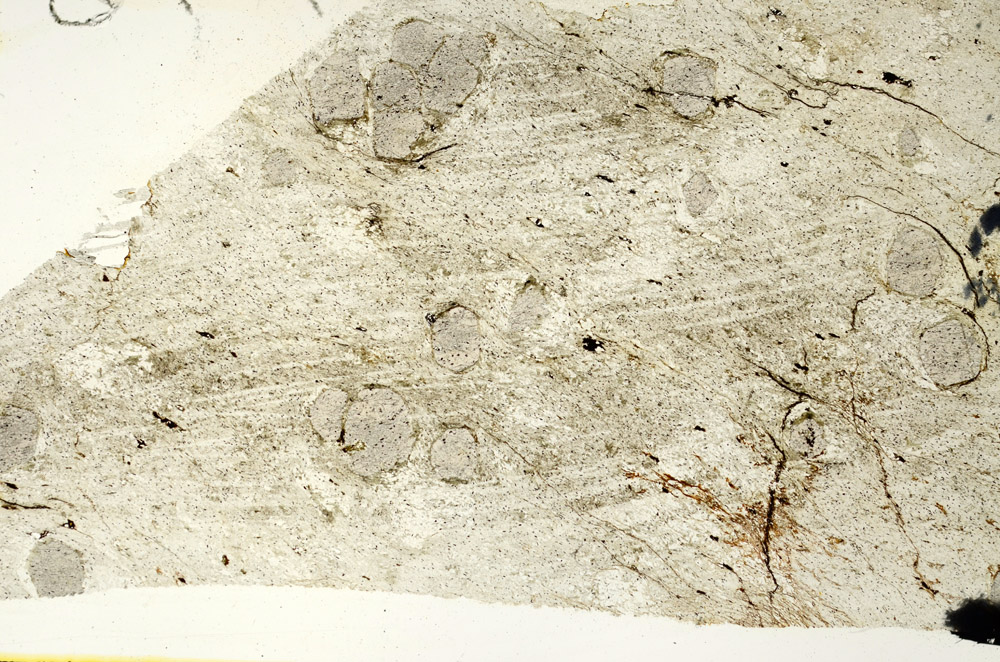 Plane Polarized, N6841