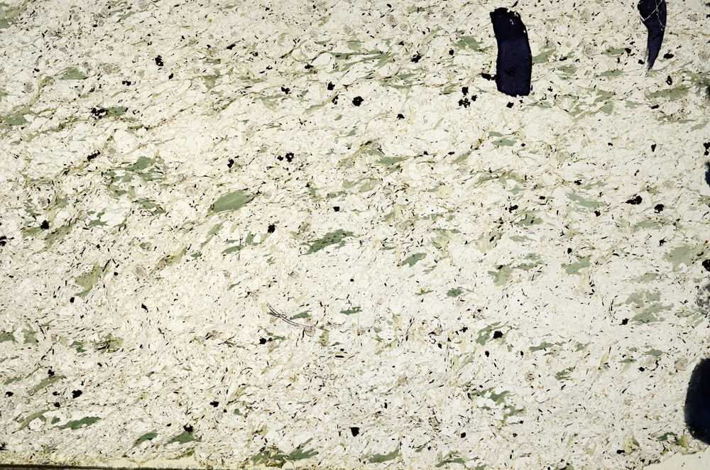 Plane Polarized, N6843