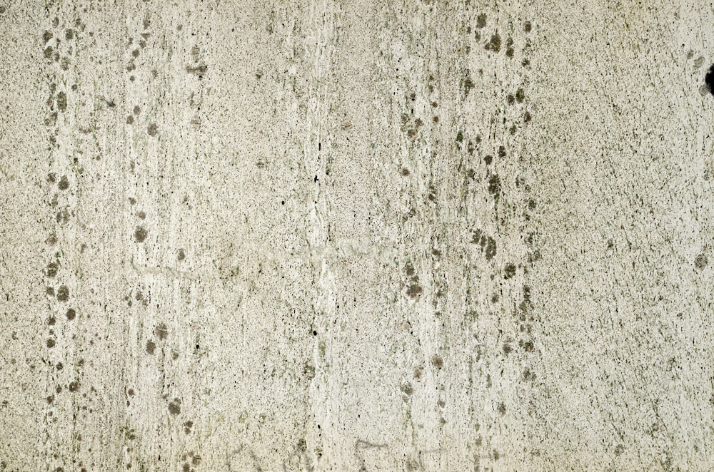 Plane Polarized, N6861