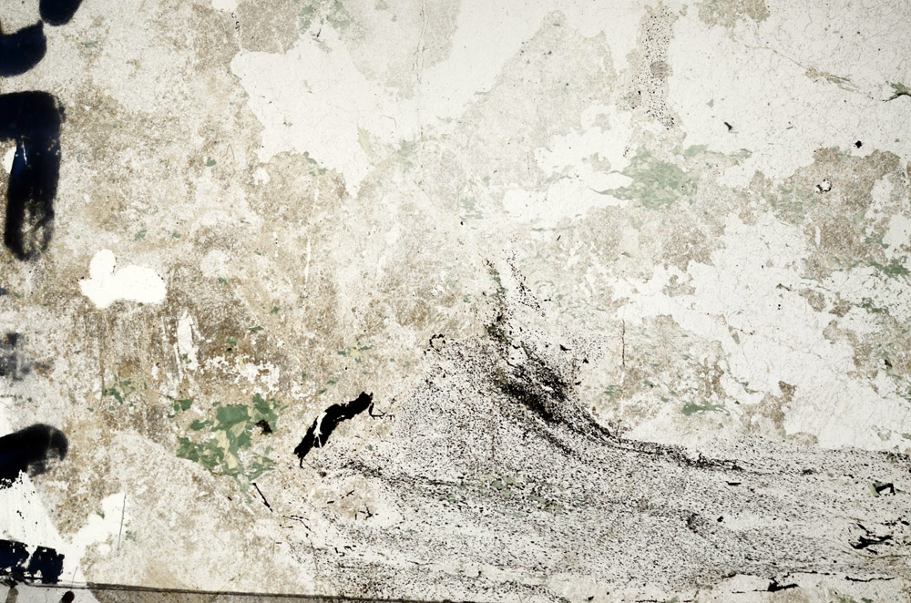 Plane Polarized, N6875