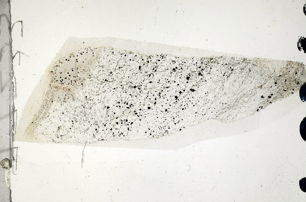 Plane Polarized, N6894