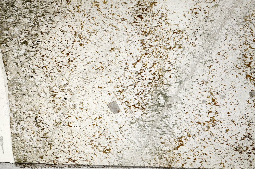 Plane Polarized, N7103