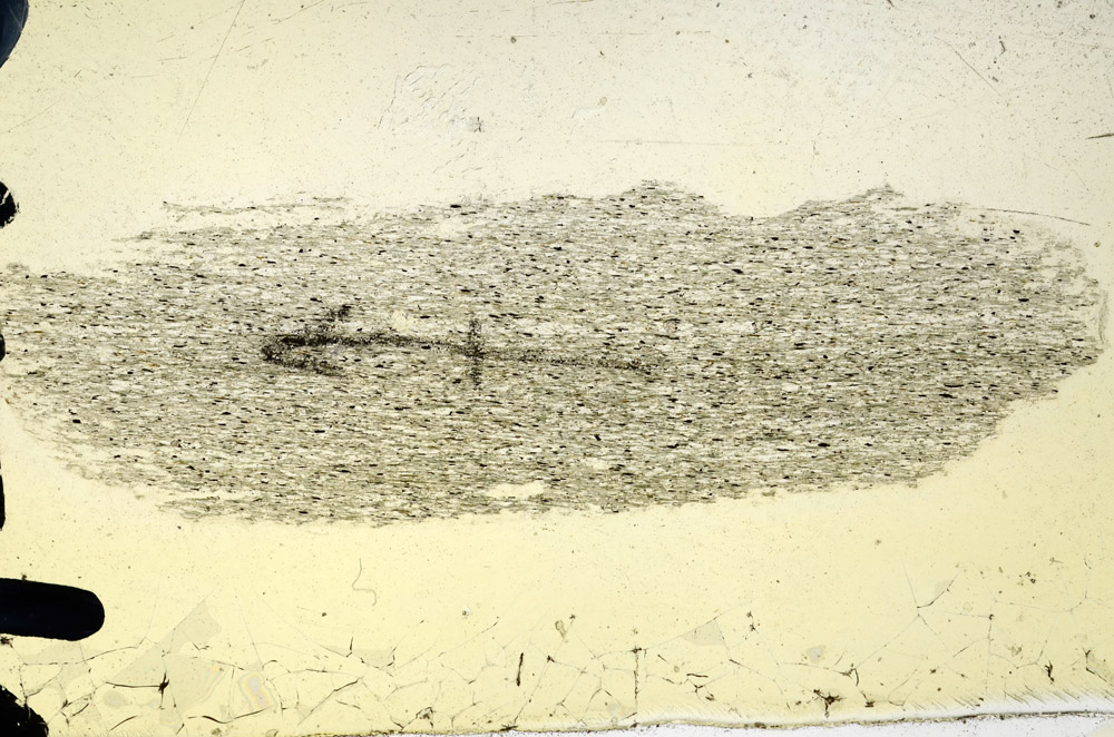 Plane Polarized, N7142