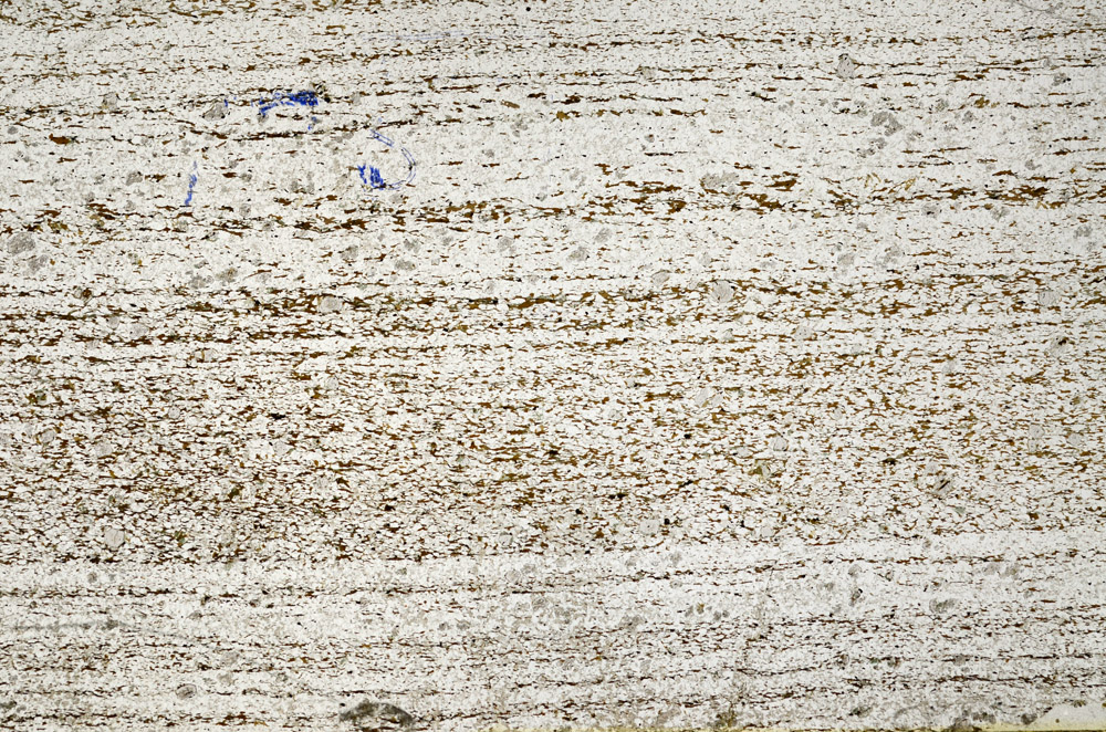 Plane Polarized, N7145