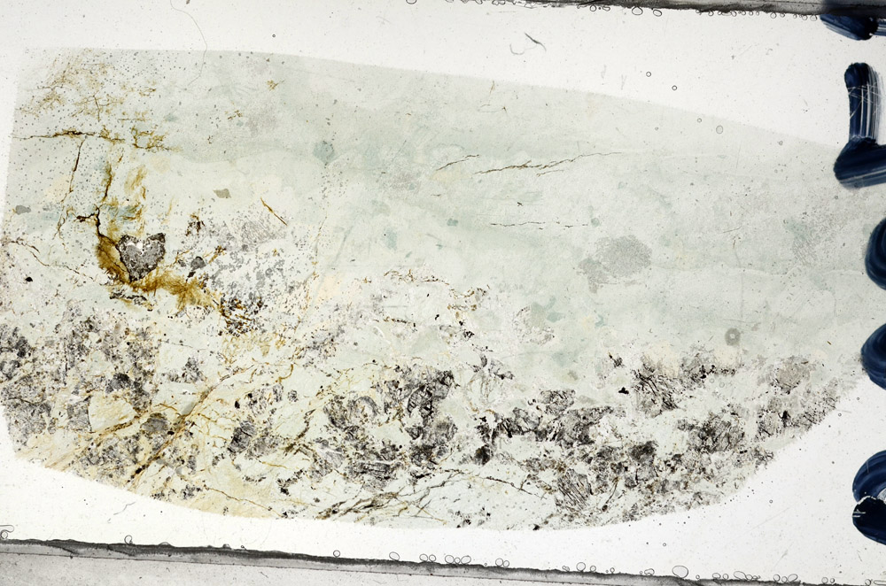 Plane Polarized, N7224