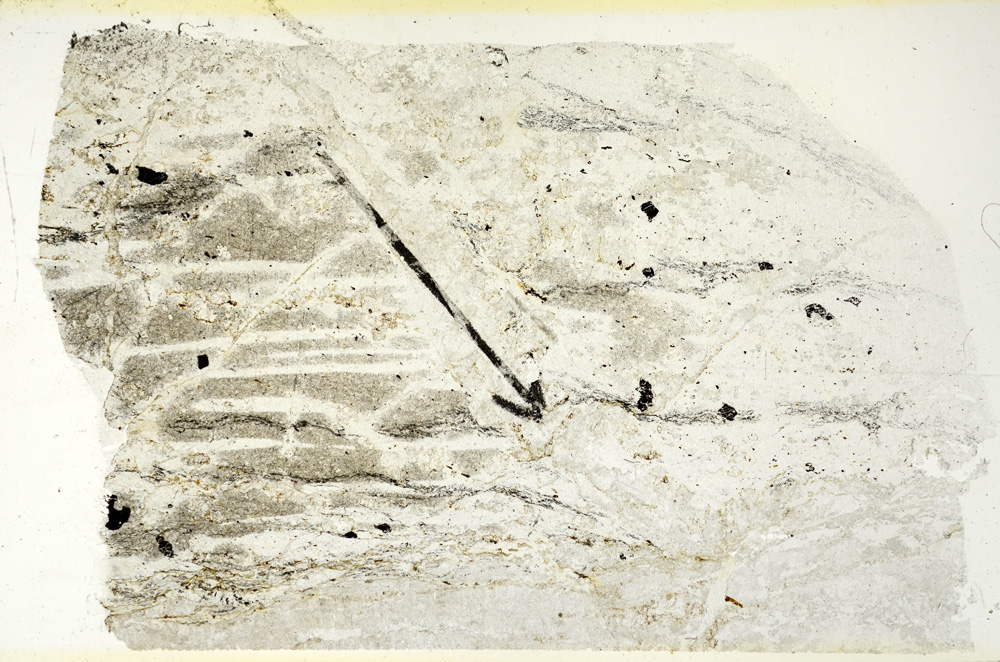 Plane Polarized, N7272
