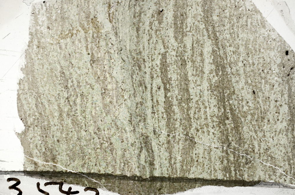 Plane Polarized, N7334