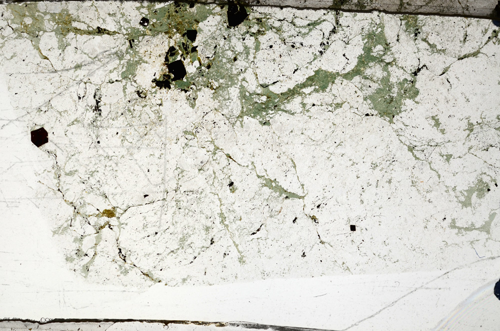 Plane Polarized, N7336