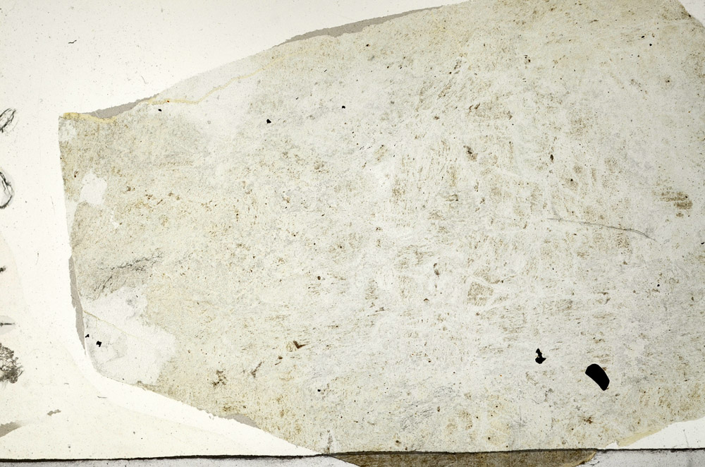 Plane Polarized, N7384