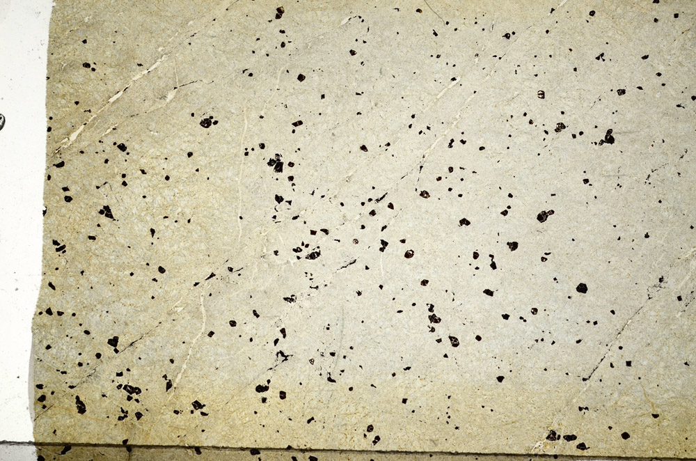 Plane Polarized, N7389