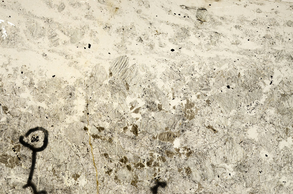 Plane Polarized, N7393