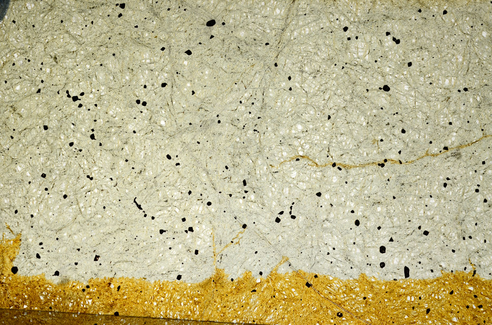 Plane Polarized, N7398
