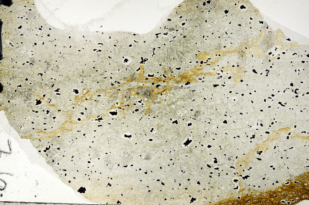 Plane Polarized, N7404