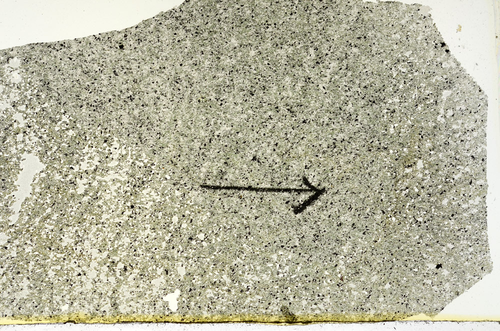 Plane Polarized, N7579/A