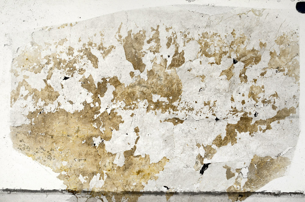 Plane Polarized, N7713